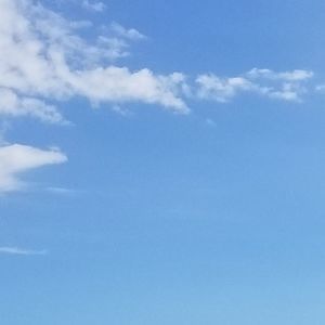 Meet your Posher, Glenda